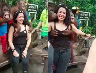 Orangotango safado apalpa seios de turista russa em Bangkok