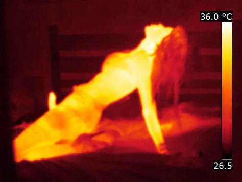 Brasil ganha primeiro ‘Museu do Sexo’