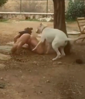 Quando você deixa seu melhor amigo vigiando a yoga da sua esposa…