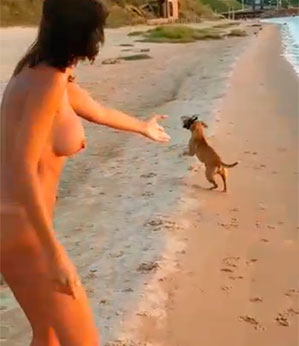 Cachorro, o melhor amigo do homem